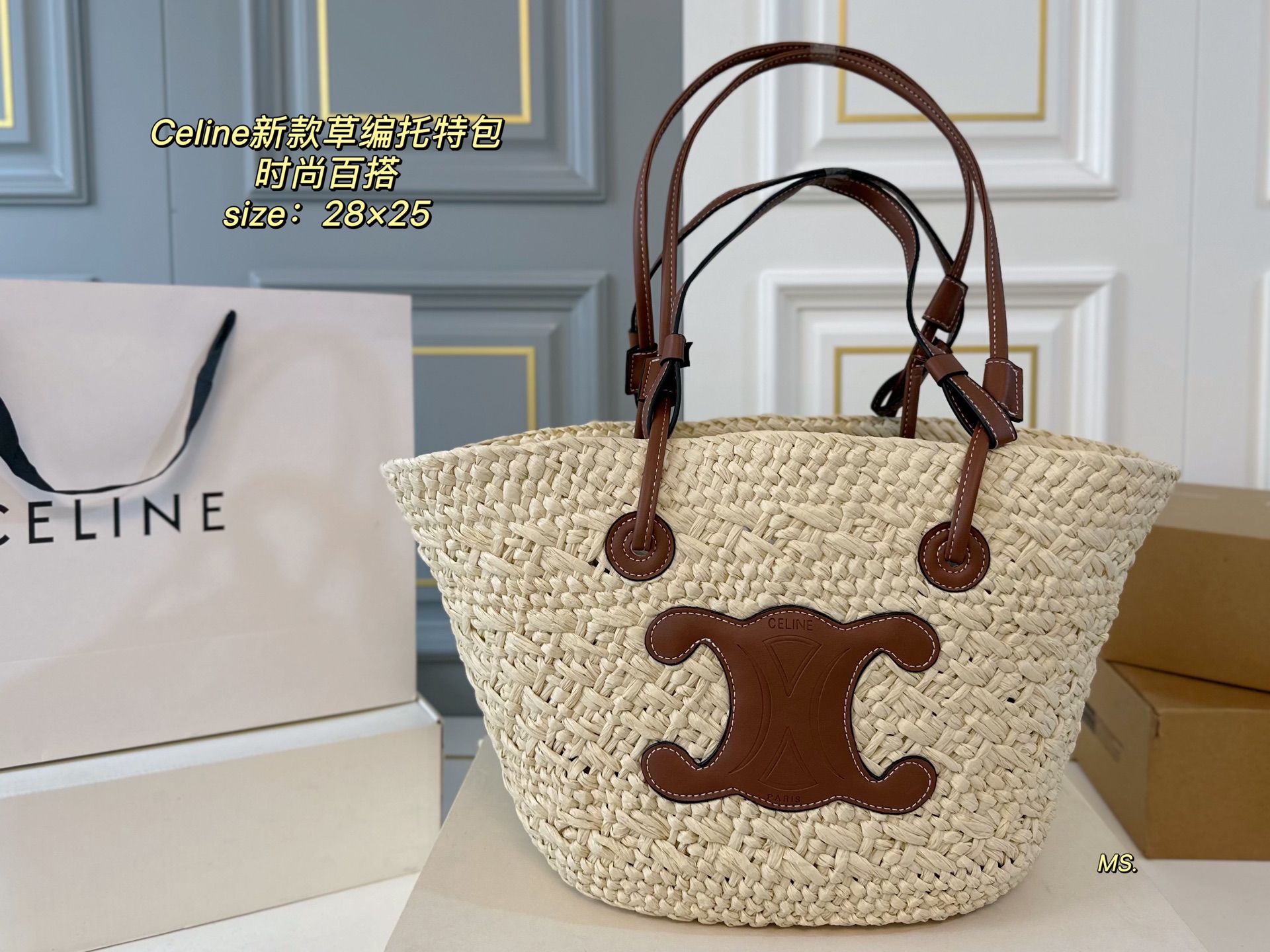 CELINE bag 12